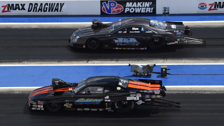 Pro Mod