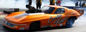 Pro Mod