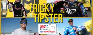 Tipster