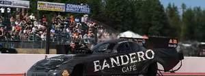 Alexis DeJoria