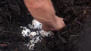 Mello Yello Spotlight: Jerry Savoie